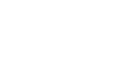 Logo empresa City Raiz S.A.S